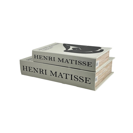 Juego de libros decorativos